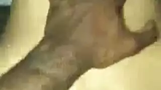 زوجة الصديق تحصل على قضيب أسود بينما الزوج خارج المدينة