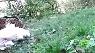 مثلية استعراضية: فعل نيك مزدوج على الرصيف